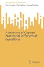 Peter Kloeden: Attractors of Caputo Fractional Differential Equations, Buch