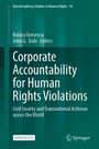 : Corporate Accountability for Human Rights Violations, Buch