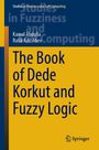 Kamal Abdulla: The Book of Dede Korkut and Fuzzy Logic, Buch