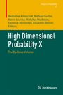 : High Dimensional Probability X, Buch