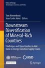 : Downstream Diversification of Mineral-Rich Countries, Buch