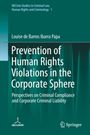 Louise de Barros Ibarra Papa: Prevention of Human Rights Violations in the Corporate Sphere, Buch