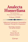 : Addressing Contemporary Sustainability Challenges Through Eco-Imagination, Buch
