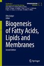Biogenesis of Fatty Acids, Lipids and Membranes, Buch