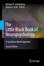 Buchcover: "The Little Black Book of Neuropsychology", zweite Edition, Autoren Michael Schoenberg und James Scott.