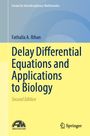 Fathalla A. Rihan: Delay Differential Equations and Applications to Biology, Buch