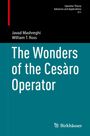 Javad Mashreghi: The Wonders of the Cesàro Operator, Buch