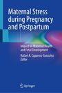 : Maternal Stress during Pregnancy and Postpartum, Buch