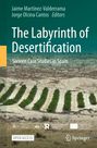 "The Labyrinth of Desertification: Sixteen Case Studies in Spain." Das Cover zeigt ein trockeneres Land mit Bäumen in Reihen.