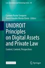 : UNIDROIT Principles on Digital Assets and Private Law, Buch