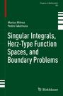 Titel: "Singular Integrals, Herz-Type Function Spaces, and Boundary Problems." Autoren: Marius Mitrea, Pedro Takemura.