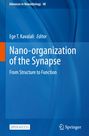 Buchtitel: "Nano-organization of the Synapse". Editor: Ege T. Kavalali. Blauer Hintergrund, Springer-Logo unten.