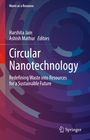 Circular Nanotechnology, Buch