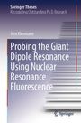 "Probing the Giant Dipole Resonance Using Nuclear Resonance Fluorescence" von Jörn Kleemann. Oben Verlauf blau nach weiß.