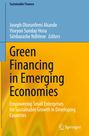 Cover mit Text: "Green Financing in Emerging Economies." Ein Logo von Springer unten rechts. Hintergrund in Blau und Gelb.