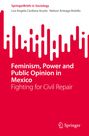 "Feminism, Power and Public Opinion in Mexico: Fighting for Civil Repair", abstrakte rote und weiße Formen, Springer-Logo.