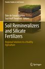 „Frontier Studies in Soil Science“ prominent oben. Schichtmodell von Erde und Gras visualisiert, Springer-Logo unten.