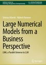 Srinivas Kilambi: Large Numerical Models from a Business Perspective, Buch