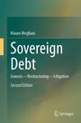 Mauro Megliani: Sovereign Debt, Buch