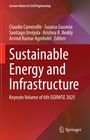 "Sustainable Energy and Infrastructure" in großen weißen Buchstaben auf rotem Hintergrund, Springer-Logo unten.