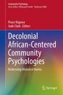 Buchtitel: "Decolonial African-Centered Community Psychologies". Rot-blauer Verlauf, Springer-Logo unten rechts.