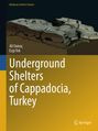 Titel: "Underground Shelters of Cappadocia, Turkey". Autoren: Ali Yamaç, Ezgi Tok. Illustration zeigt eine Höhlenlandschaft.