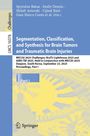 Segmentation, Classification, and Synthesis for Brain Tumors and Traumatic Brain Injuries, Buch