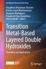 Transition Metal-Based Layered Double Hydroxides, Buch