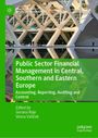 Public Sector Financial Management in Central, Southern and Eastern Europe, Buch
