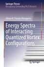 Adrian M. Parrado Almoguera: Energy Spectra of Interacting Quantized Vortex Configurations, Buch