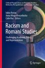 Text: "Racism and Romani Studies, Challenging Academia, Policy, and Representation." Abstrakte Illustration mit Springer-Logo.