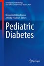 Titel: Pediatric Diabetes. Herausgeber: Benjamin Udoka Nwosu, Ambika P. Ashraf. Blaue Buchcover mit Springer-Logo.