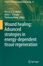 Titel: "Wound healing: Advanced strategies in energy-dependent tissue regeneration". Grüner Hintergrund mit Springer-Logo.