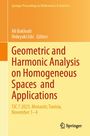 Geometric and Harmonic Analysis on Homogeneous Spaces and Applications, Buch