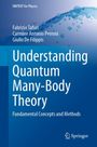 Buchtitel: "Understanding Quantum Many-Body Theory". Autoren: Fabrizio Tafuri, Carmine Antonio Perroni, Giulio De Filippis. Oben blauer Wasser-Themen-Hintergrund. Springer-Logo unten rechts.