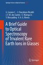 E. Marega Jr.: A Brief Guide to Optical Spectroscopy of Trivalent Rare Earth Ions in Glasses, Buch