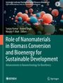 Titel: "Role of Nanomaterials in Biomass Conversion and Bioenergy for Sustainable Development". Zahlenreiche bunte Kugeln.