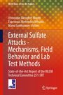 External Sulfate Attacks - Mechanisms, Field Behavior and Lab Test Methods, Buch