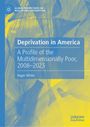 "Deprivation in America: A Profile of the Multidimensionally Poor, 2008–2023" von Roger White. Blau-gelbes Muster.