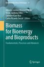 „Biomass for Bioenergy and Bioproducts“ steht in Weiß auf grünem Hintergrund, links oben sind Editorennamen. Links unten Logo von Springer.