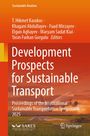 Titel: "Development Prospects for Sustainable Transport". Flugzeug fliegt über Landebahn bei Sonnenuntergang.