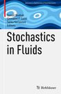 "Stochastics in Fluids" von Tomáš Bodnár, Giovanni P. Galdi, Šárka Nečasová. Wellenförmiges blaues Muster, Birkhäuser-Logo unten.