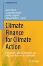 "Climate Finance for Climate Action" auf gelbem Hintergrund. Autoren: Karen Wendt et al. Logo: Springer.