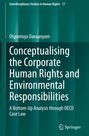 Titel: "Conceptualising the Corporate Human Rights and Environmental Responsibilities". Autor: Otgontuya Davaanyam. Springer-Logo.