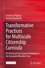 Daniela Martinelli: Transformative Practices for Multiscale Citizenship Curricula, Buch