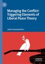Jalale Getachew Birru: Managing the Conflict-Triggering Elements of Liberal Peace Theory, Buch