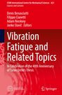"Vibration Fatigue and Related Topics" in Weiß auf rotem Hintergrund. Oben Autoren: Denis Benasciutti, Filippo Cianetti.