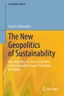 Charles Salvaudon: The New Geopolitics of Sustainability, Buch