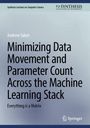 Andrew Sabot: Minimizing Data Movement and Parameter Count Across the Machine Learning Stack, Buch