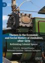 „Themes in the Economic and Social History of Zimbabwe, 1890–1979“ über einem Dampfmaschinen-Detail mit Emblem.